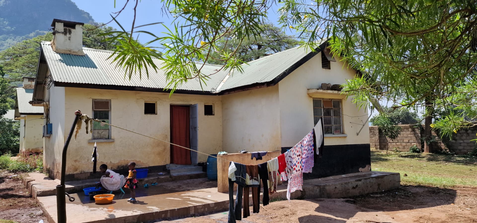 The house seen through overhanging branches, washing on the line